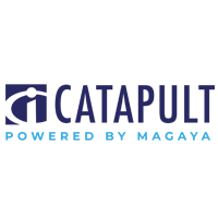 catapult solutions group